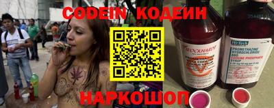 ешки Кингисепп