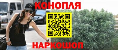 ешки Кингисепп
