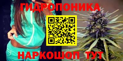ешки Кингисепп