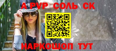 ешки Кингисепп