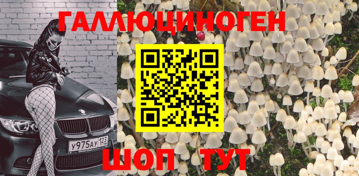 Псилоцибиновые грибы мухоморы  где продают наркотики  Кинель  Вход с VPN 